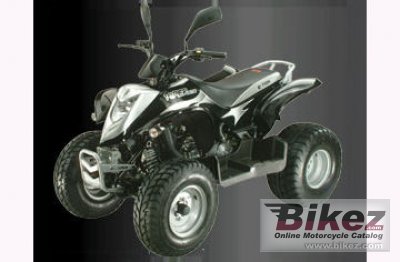 2010 E-Ton Viper ST Exl-150 photo